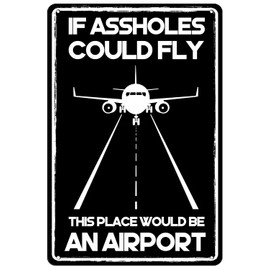 Funny Man Cave Tin Sign If Assholes Could Fly This Place Would Be An Airport Sign Vintage Garage Home Cafe Bar Decor Signs 8x12 Inch