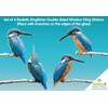 4 x Kingfisher Bird Window Stickers for Glass - Double