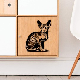 'Sphynx Cat Sitting' Clear Sticker Decal – Waterproof Film for Windows, Cars, Walls & Crafts, Large (210mm) (DC00142466)