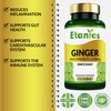 Etanics Ginger Capsules |High Strength 3200mg Ginger Root Extract Supplement