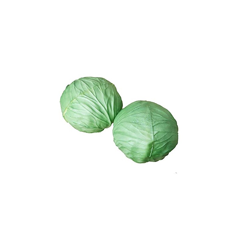 GuCra 本物そっくりな野菜模型 キャベツ 2個パック 食品サンプル