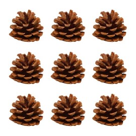 GSHLLO 30 Pcs Natural Pine Cones Rustic Christmas Pinecones Winter Pinecone Ornaments Vase Filler Pinecones Holiday Decorations Pinecones for DIY Crafts 5-6cm