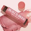 Burt's Bees Lip Tint Balm, Long Lasting 2 in 1