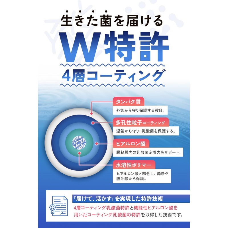 ビフィライフ 乳酸菌 サプリ 30日分x1袋[ 17種 乳酸菌 酪酸菌 ビフィズス菌 5兆個 贅沢配合