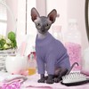 Hjyokuso Hairless Cat Sweater, Sphynx Cat Clothes, Kitten Clothes, Breathable