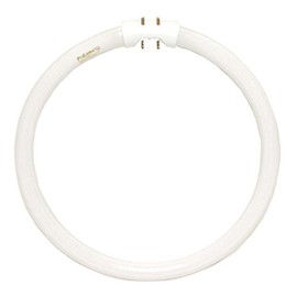 ProLume FC22T5/841 109082 Fc22 T5 9" Circline 4100K Fluorescent Tube Light Bulb