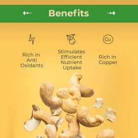 Sincerely Nuts - Raw Cashews Pieces Unsalted | Healthy Snack, Source of Protein, Vitamin & Minerals | Keto and Paleo Friendly Gourmet Quality Vegan | Organic Cashew Nuts Bulk,1 (LB) Bag