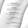 Peter Coppola Keratin Concept Color Control Conditioner 12 oz by