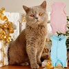 GIEEU Katzen-Genesungsanzug, chirurgischer Genesungsanzug, nach Operationen, für weibliche Katzen, weiches