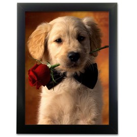 3D Puppy Picture - Golden Retriever Puppy with Rose - Black Framed Picture Animal Artwork - 3D Visual Effect Wall Art