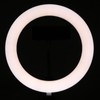 UN‑206 3‑Color 20cm Ring Light LED Tripod Stand Arc Fill