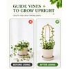 Moromyse Plant Trellis Indoor 16in Bamboo Trellis Loop - Shaped