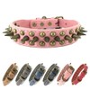 Collar de Perro con púas, Protege el Cuello del Perro