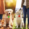 CHUKCHI 2Pack LED Rechargeable Dog Collar Lights, Light up Dog