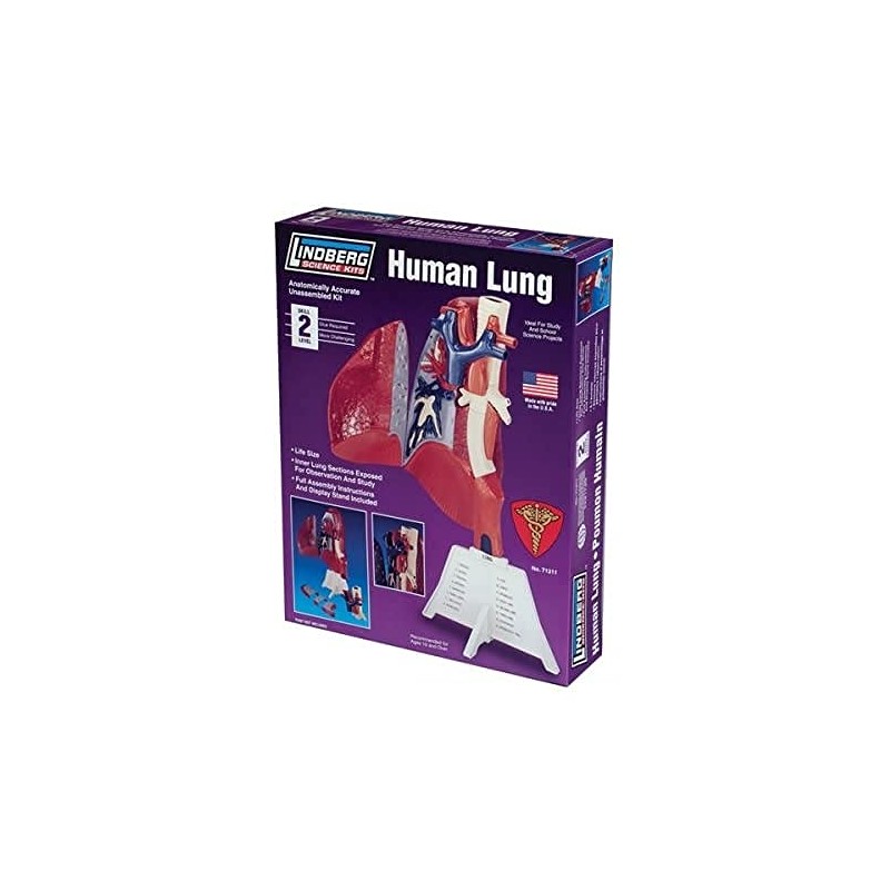 Human Body 1:1 Lung Model Kit