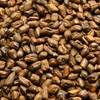 Ise Marunaka Seicha Hub Tea 100% Habu Tea 17.6 oz