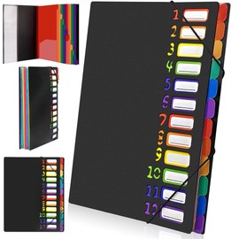 Dokumentenmappe A4 Tragbar Fächermappe mit 12 Fächern PP Kunststoff Pultordner mit Schreibtischorganisation und Aufbewahrung von Projektunterlagen Mit Klappen und Gummizug