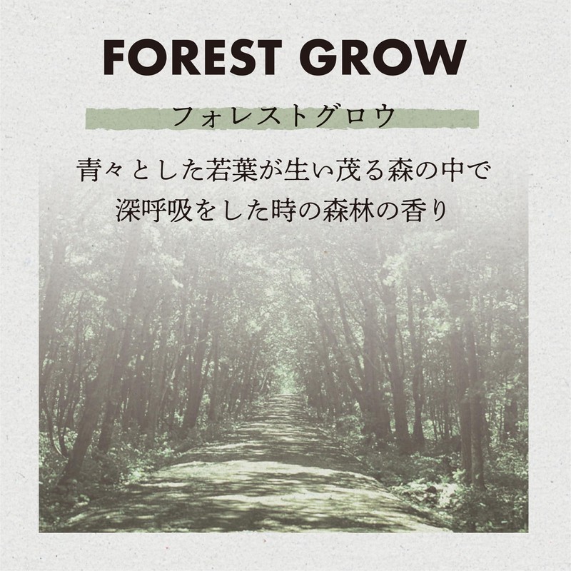 CARALL AWESOME DAYS Liquid Forest Glow [3555]