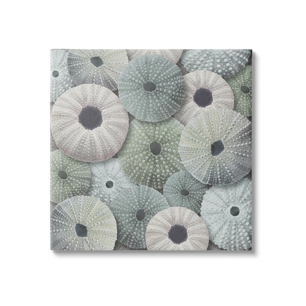 Stupell Industries Abstract Sea Urchins Canvas Wall Art by LSR