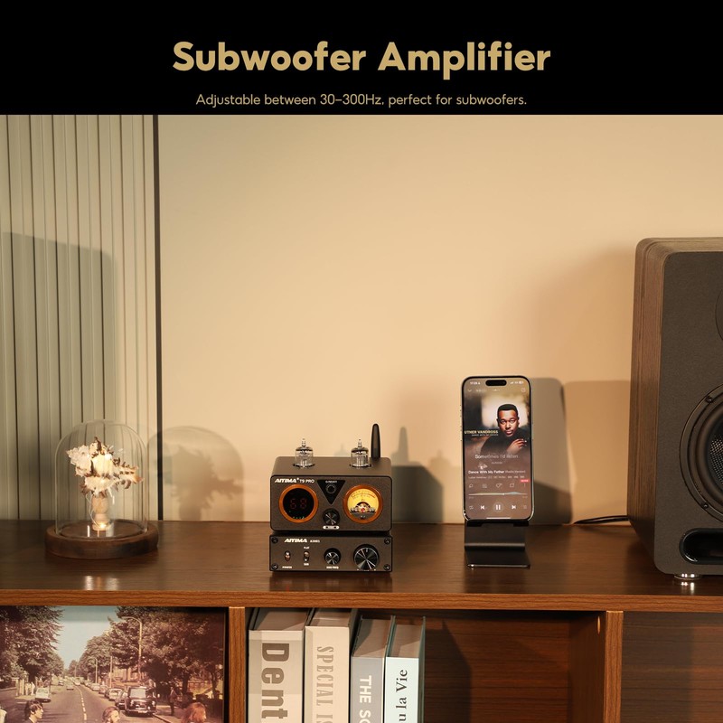 AIYIMA A3001 Mini Stereo Amp 300W Subwoofer Amplifier TPA3255 Class