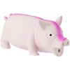 Rosewood Grunters Latex Pig, Large