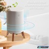 Real Wood Stand Compatible for Sonos Era 100 Speaker,Tripod Desk