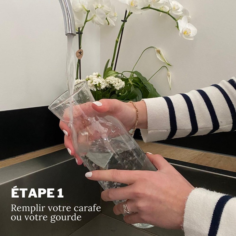 4 x Plant Charcoal Drinking Filters