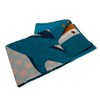 Miami Dolphins Fade Flag