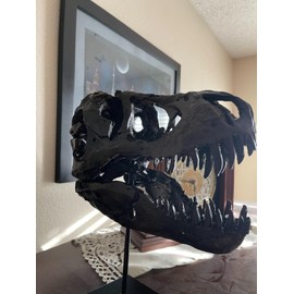 JOTNBOBO Dinosaur Skull Statue,Dinosaur Sculptures Bracket Tyrannosaurus Skull Replica Decoration Skull Bones Resin Replica with Bracket for Home Office Decor Shelf Display, Black