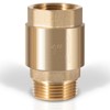 1 inch One-Way Brass Check valve for Well Pump, 1"
