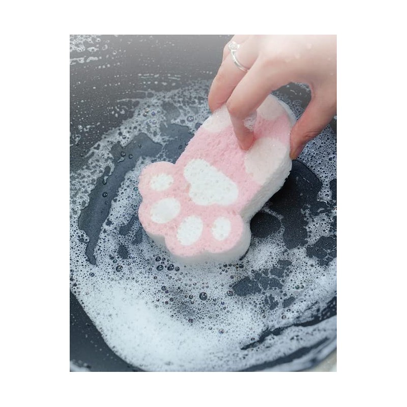 Ctpeng Kitchen Reusable Dish Cleaning Sponge Scrub Set of 2