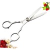 Baluue Professional Hair Scissors 6in Double Tooth Hairdressing Shears Styling