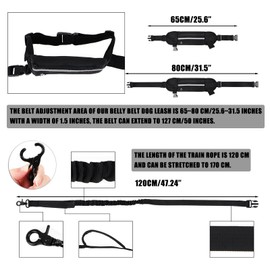 RUNEAY Dog Jogging Lead with Belly Strap, Hands-Free, Free Leads for Dogs, Belly Strap, Dog Lead with Retractable Bungee, Jogging Lead for Large Dogs up to 50 kg