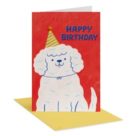 American Greetings Braille Birthday Card (Absolute Best)