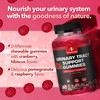 VITAMIZED Potent Cranberry Gummies 1500mg with D Mannose - Urinary Tract