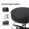 Frassie Drafting Chair with Back Adjustable Spa Bar Rolling Stool