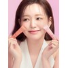Hanskin Blemish Cover Concealer Color Edition 12g 2pcs / 한스킨