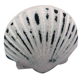 Nautical Tropical Imports Distress White Iron Scallop Shaped Drawer Knob 1.5 Inch L Set of 2