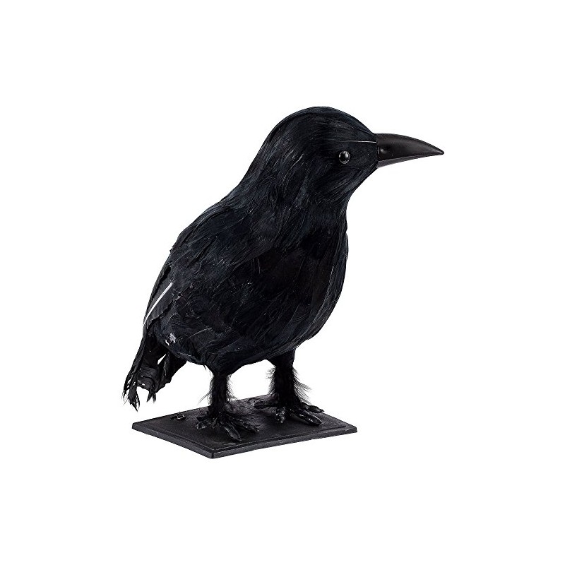 Sunstar Industries Crow - Closed Wings in