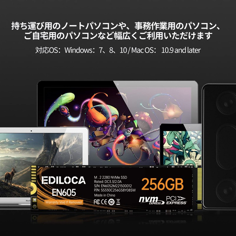 EDILOCA EN605 SSD 256GB PCIe Gen 3.0x4 NVMe1.3 M.2 2280