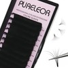 Easy Fan Lashes 0.07 D Curl Single Tray 17mm 2D-20D