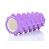 MAJESTIC SPORT Massage Roller with Protrusions General Training Gymnastics Posture