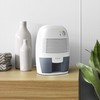 hOmeLabs Small Space Dehumidifier with Auto Shut Off - Compact