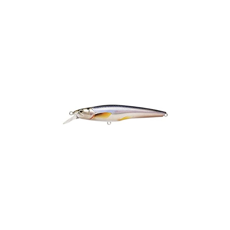 Fishing Tackle Lures Rainbow Smelt Jerkbait, Shallow
