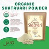 Jiva Organics Organic Shatavari Powder 14 Ounce Bulk Bag -