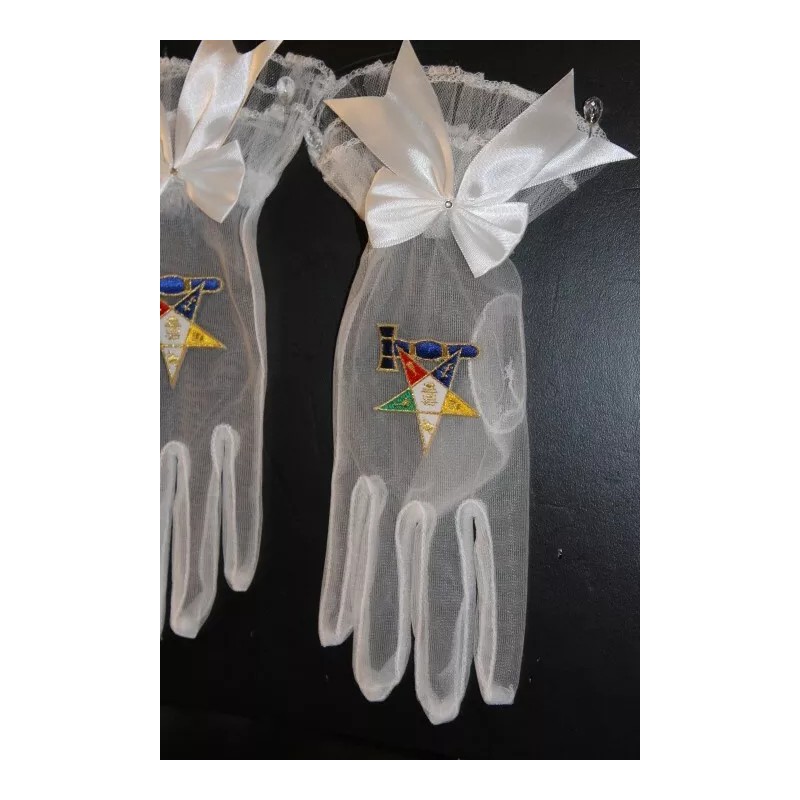 Masonic ( Eastern Star ) Past Matron Gloves