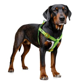 Tiffpaws Stripe Step in Dog Harness for Small Dogs, Freedom Nylon Dog Halter Vests, Lightweight and Escape Proof Puppy Harness, Quick Fits for Small Medium and Large Dogs, Green M