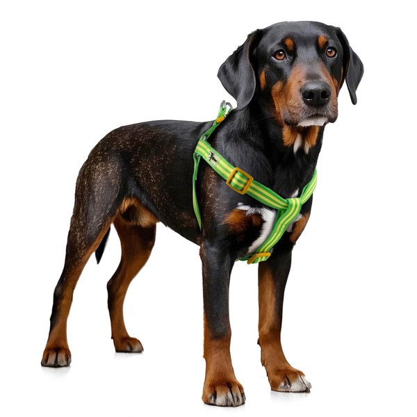Tiffpaws Stripe Step in Dog Harness for Small Dogs, Freedom
