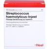 Streptococcus Haemolyticus Injeel Liquid Dilution Pack of 10 Ampoules