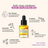oOlution - Plump It – Bio-Gesichtsöl – reife Haut –